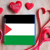 ONG_TO PALESTINA