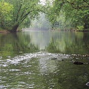 Cedar River Watershed District