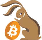 The Bitcoin Rabbit Hole
