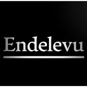 Endelevu Consults