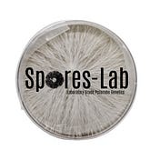 Spores Lab | Mushroom Spores Canada |