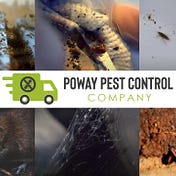 Poway Pest Control Company