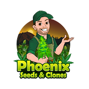 Phoenix Marijuana Seeds