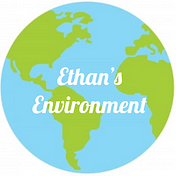 Ethan's Environment