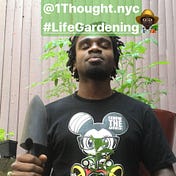 Life Gardening