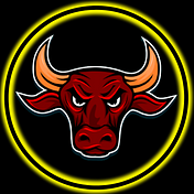 Bull Financial