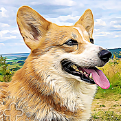 Orange Dog