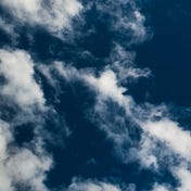 Medium profile picture for @enchanting