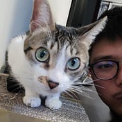 Wei-Hsiang (Matt) Wang