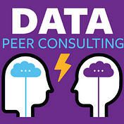 DSUS Data Peer Consulting