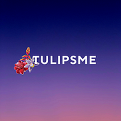 TulipsMe