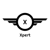 Xpert Seo Team