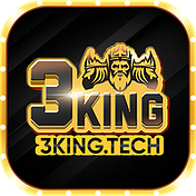 3kingtech