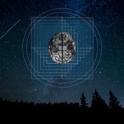 Brain Phases