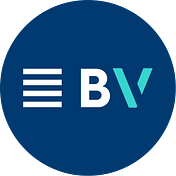 BICE VENTURES