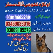 ARMY DOG CENTER OKARA 03459033016