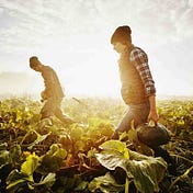 farming boy