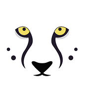Cheetah-Slim Health Solutions