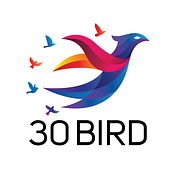 30Bird Media