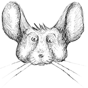 Chris Chinchilla