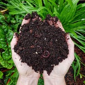 The Compost