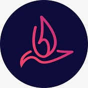 birdsoftwaresolutions