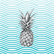SEA Pineapple