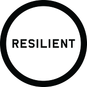 100 Resilient Cities