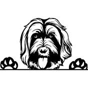all doodle