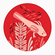 Axolotl Brasil