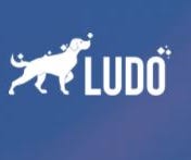 Ludo Ai