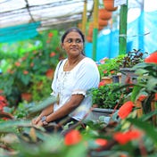 Dharshini Bala