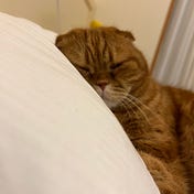 Gizmo