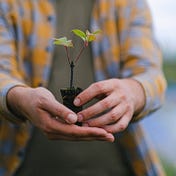 Seeds For The Future