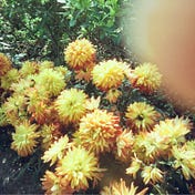 三重宇宙 Chaos in sum