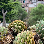 Altar Mezcal