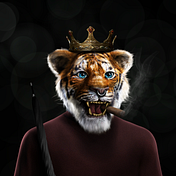 Medium profile picture for @wildcats