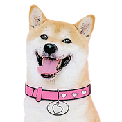 DogeGF