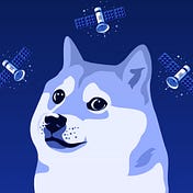 Doge1 Satellite