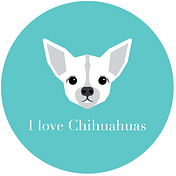 I Love Chihuahuas