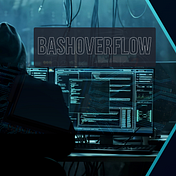 Bash Overflow