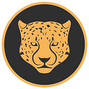 Kitty Kat Coin