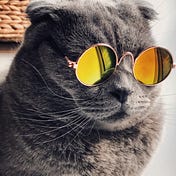 Dr. S