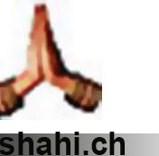 Shahi.ch