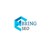 Bring SEO Digital Marketing & SEO Services