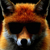 Medium profile picture for @foxes