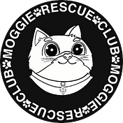 Moggie Rescue Club - MINTING NOW
