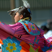 Intertribal Timber Council