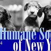 Humane Society of New York