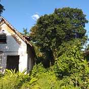 Observatório Urbano de Joinville